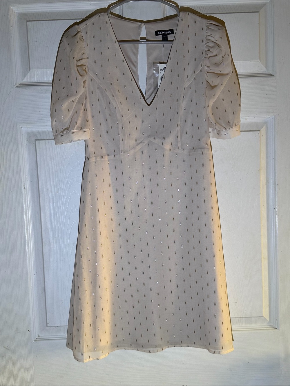 Express Cream Puff Sleeve V-Neck Dress
